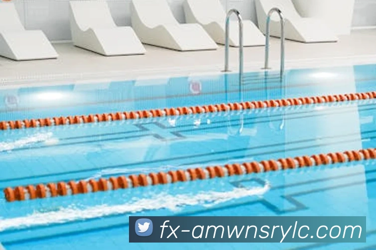 威尼斯人娱乐官网平台生态图